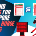 Tips & Guides | Singapore Pools Horse Racing